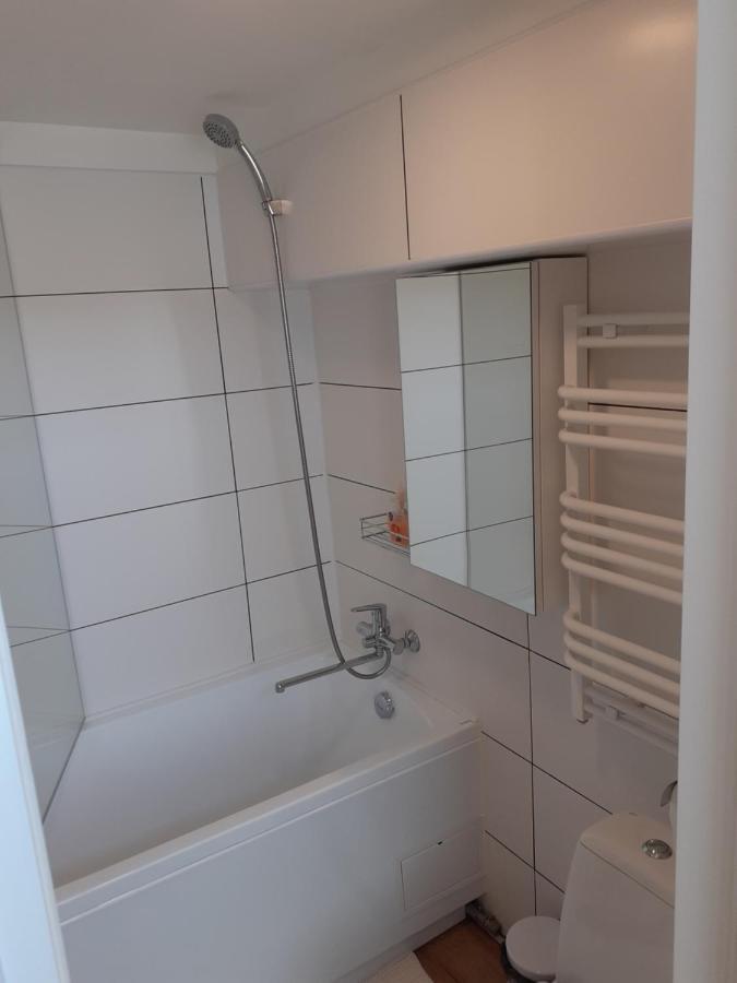 Lovely 1-Bedroom Apartment In Kaunas Old Town Bagian luar foto